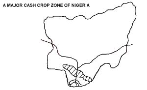 The production of the crop is done mainly through